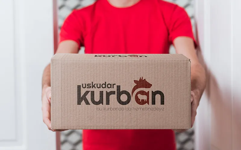 Büyükbaş 4. Grup - Görsel 4